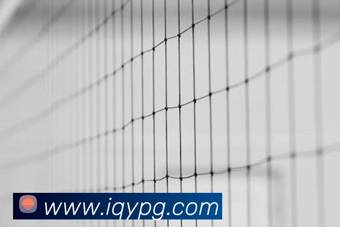 pg模拟器APP 封面图